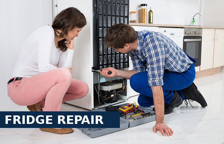Fridge Repair Wandsworth